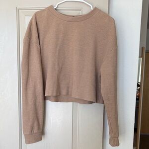 Zara Tan Knit Crop Top